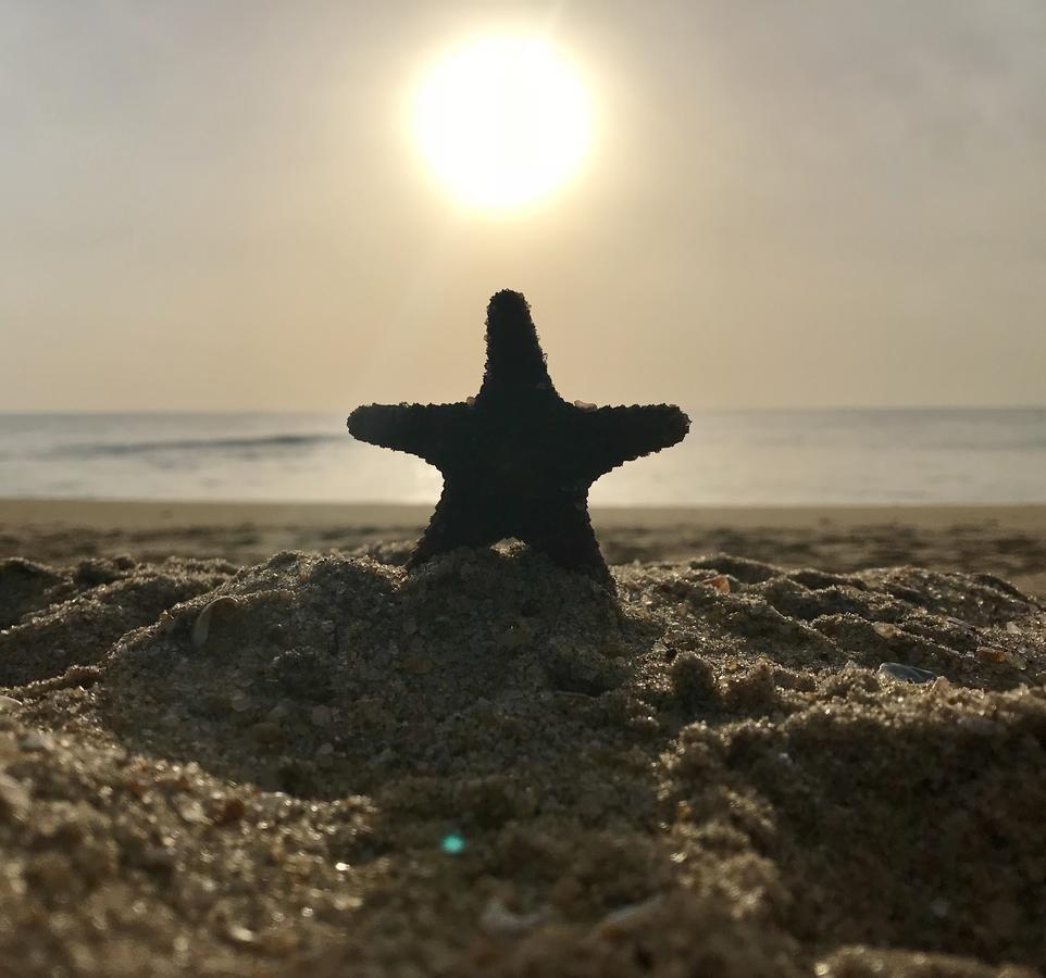 Starfish Beach Bungalows Arugam Bay Εξωτερικό φωτογραφία